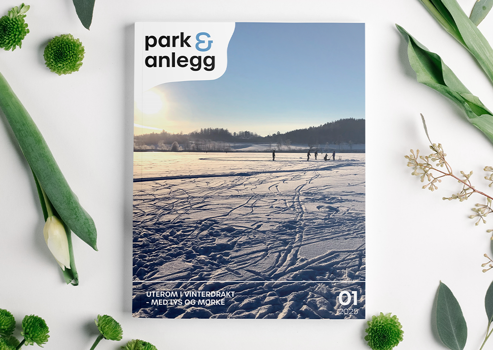 Park&anlegg Print