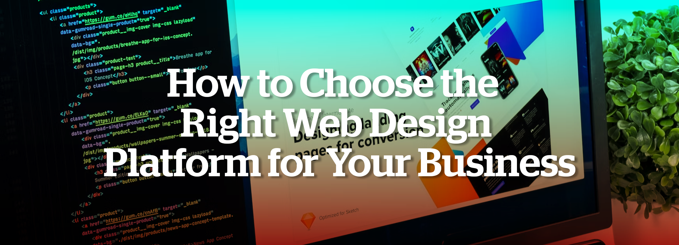 How to Choose the Right Web Design Platform for Your Business