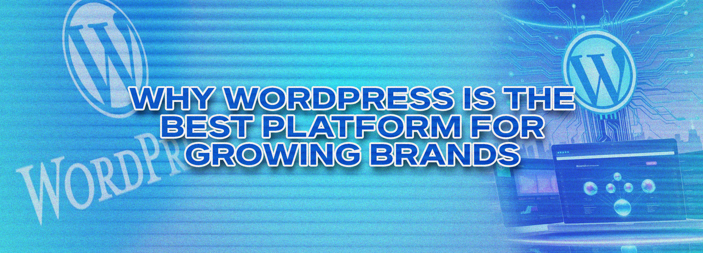 Why WordPress Is the Best Platform for Growing Brands